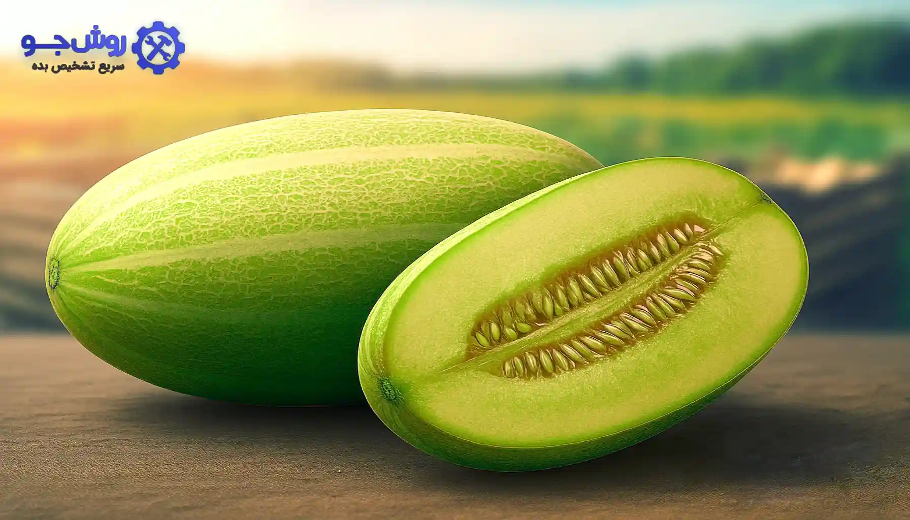شناخت خربزه شیرین و خوشمزه